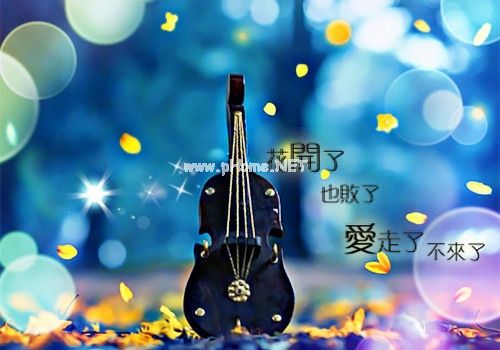 感情太脆弱说说 我很脆弱的说说33句
