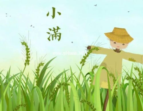 小满发的说说摘录26句