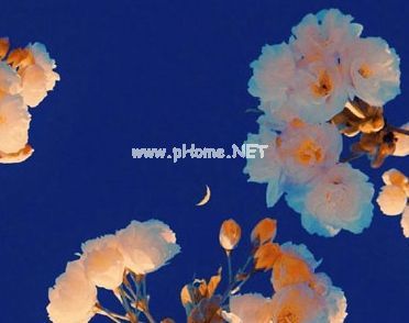 慢热型性格发朋友圈的心情说说 关于慢热型发朋友圈的句子27句