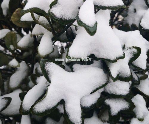 下雪又化雪的说说 化雪的朋友圈心情说说19句
