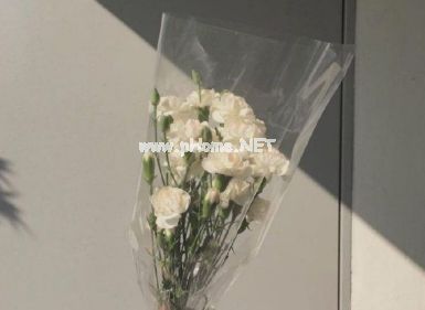 极具浪漫的图片空间个性说说 真正爱自己的时候说什么话都是算