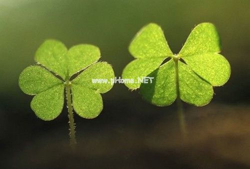 二十四节气雨水的朋友圈祝福语说说30句