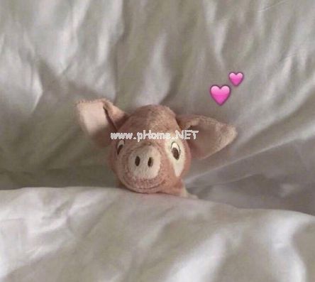 最新版大快人心怼绿茶婊的朋友圈 怼绿茶的霸气说说精选31句