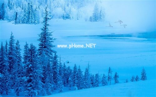 倒春寒来了下雪了朋友圈说说39句