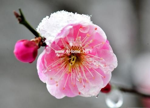 赞美雪的说说句子大全 2023雪景的朋友圈说说24句
