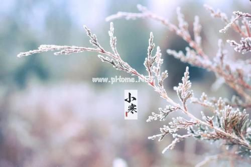 今日小寒的说说17句