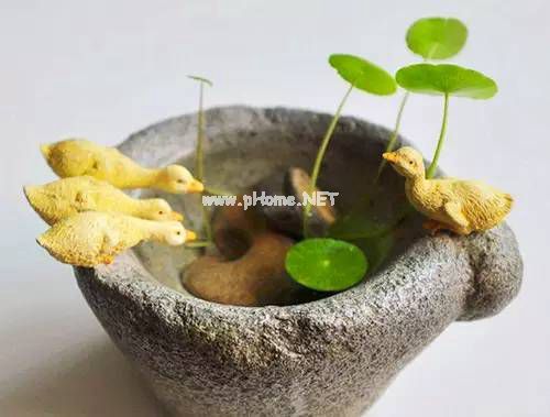 表达自己内心的情感短语