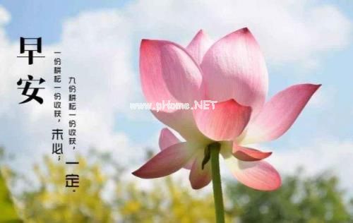 有关于春天发的文案句子 朋友圈春天的句子33句