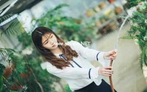 抖音干净的句子的短句 努力向上的抖音短句