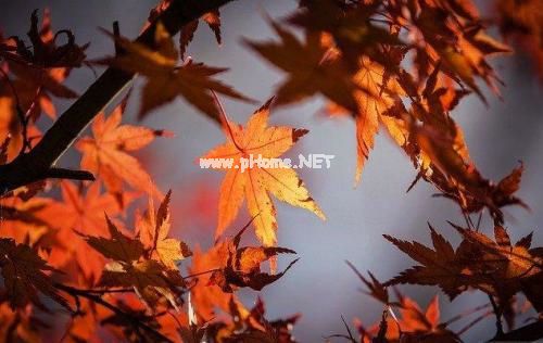 累了该结束了的说说心情短语