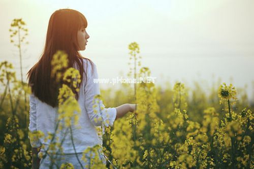 早安说说一句话 明明生活过的很糟，却还要表现的若无其事