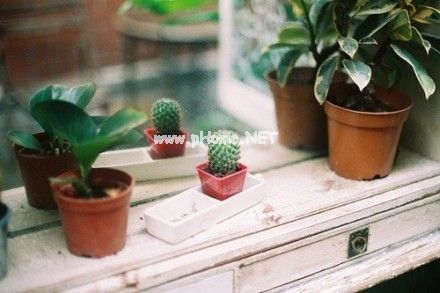 一个人没人陪的说说 孤单没人陪的句子34句