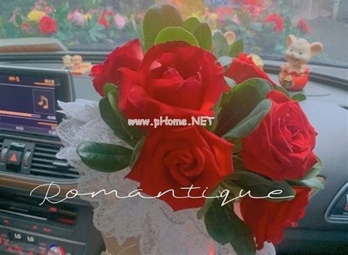 祝福姐妹新婚快乐的说说合集30句