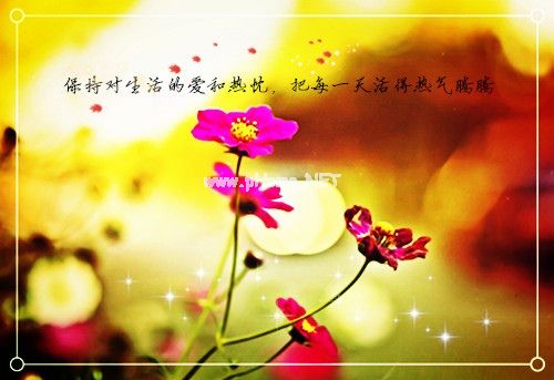 2021女生节朋友圈说说 女生节适合发的朋友圈