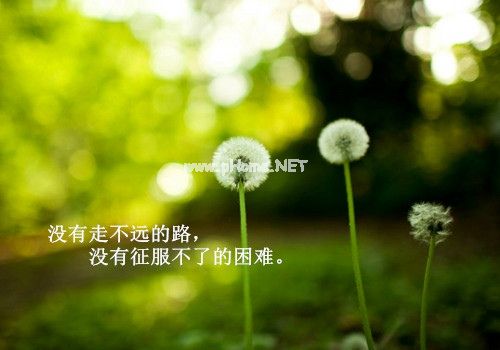 错过就是错过了的说说32句