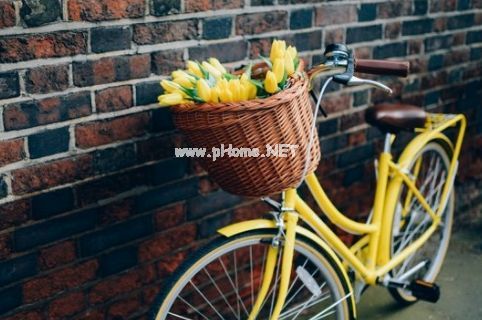 关于春天的朋友圈说说 春天来啦发朋友圈该怎么写推荐31句
