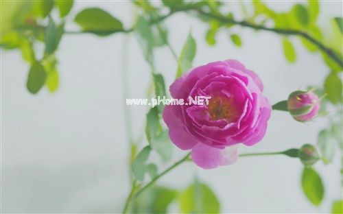 朋友圈疫情解封心情说说 疫情解封后心情说说