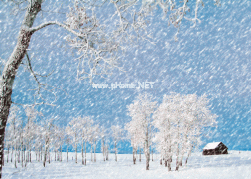 微信朋友圈下雪说说大全