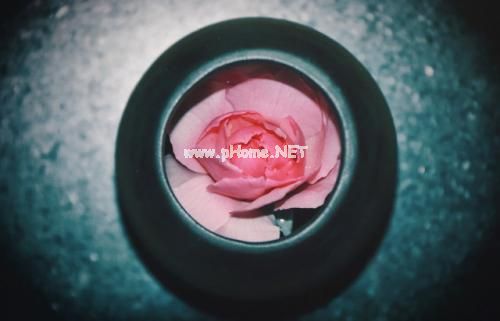 情感句子短句 爱情的句子唯美短句