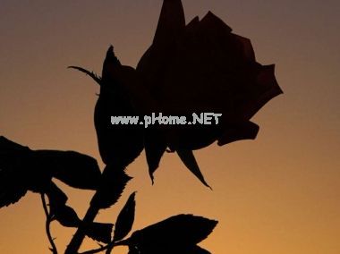 七月微信伤感说说大全 感到悲伤疼痛的句子2020