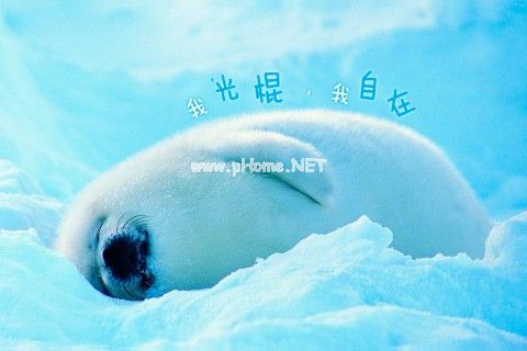 QQ空间搞笑图片说说汇编66句