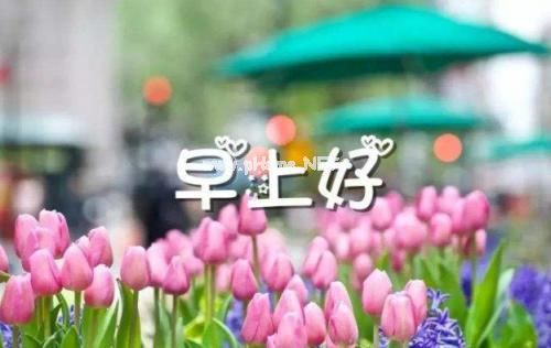春天说说朋友圈短句 适合春天的文案短句