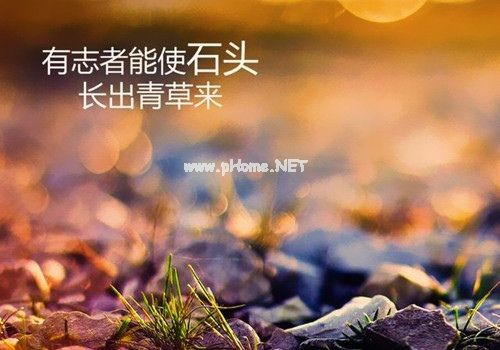 2021早晨正能量的朋友圈说说