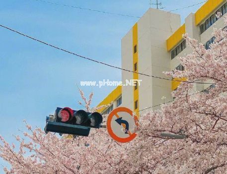 天气渐渐变暖和了心情说说 春天天气渐渐暖和的句子