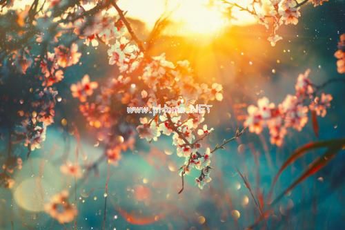 母亲节对妈妈说一句感恩的话 母亲节发朋友圈的说说48句