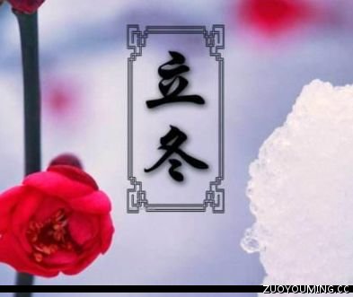 关于立冬好听的文案短句 2023立冬发朋友圈的心情说说