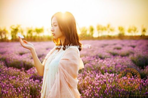 天气晴朗阳光明媚心情愉快的说说