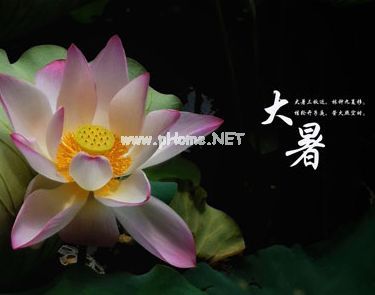 2021大暑节气的心情说说 大暑的经典祝福语文案