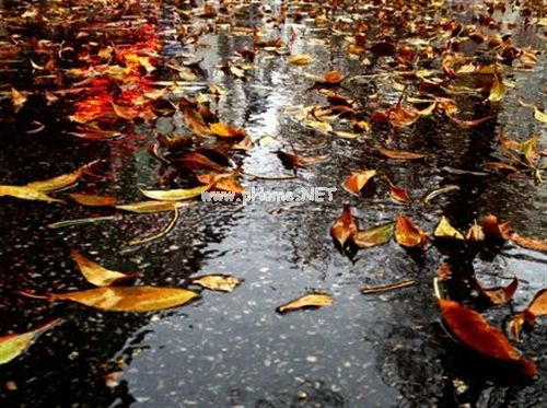 每天一场秋雨的心情说说(精选34句)