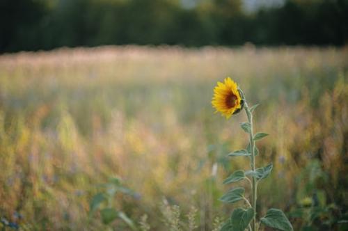 放孔明灯的唯美心情说说2023 正月十五元宵节放孔明灯的说说
