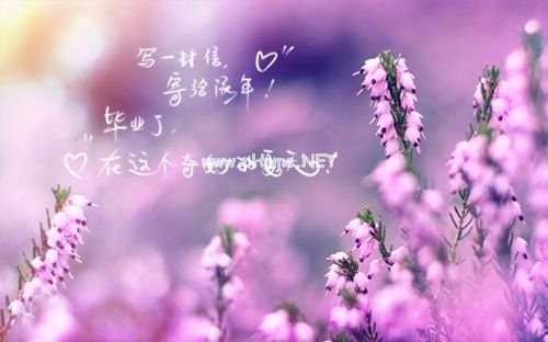 永远失去一个人的伤感说说(精选34句)