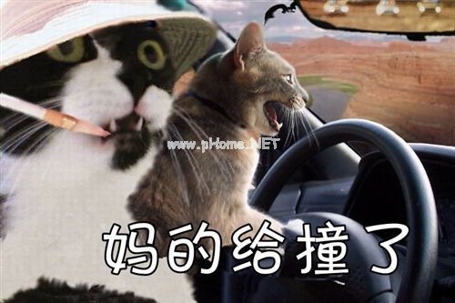 砸到头的搞笑说说(精选21句)