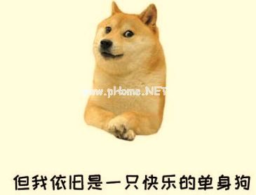 2021适合单身狗七夕发朋友圈的俏皮文案 七夕发朋友圈的搞笑说