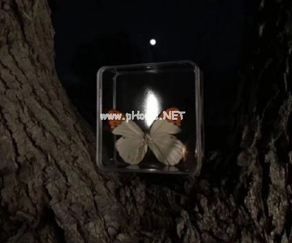 第一次喝酒释放心中郁闷的短句 第一次喝酒的心情说说(精选29句)