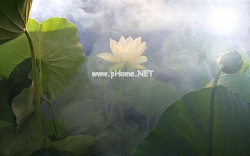 不爱就是不爱了的说说(精选37句)