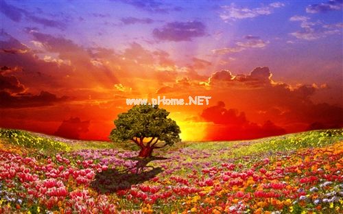 有的时候就是想矫情一下的说说(精选27句)