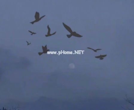 一个人看电影的心情说说 独自一人去电影院看电影的句子