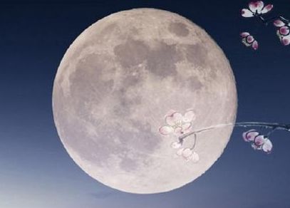 一个人的中秋节说说心酸伤感 2023最新中秋节伤感说说