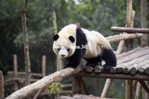 关于逛动物园后发朋友圈语句 去完动物园的心情说说
