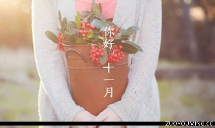 朋友圈十一月第一天说说怎么发 十一月第一天的祝福语2023