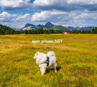 2021八月最后一天的心情说说 八月再见的伤感语录