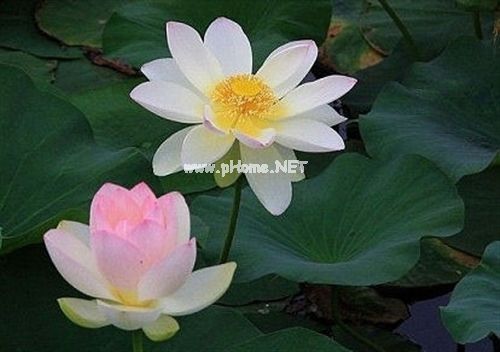 天气太热的说说朋友圈(精选31句)