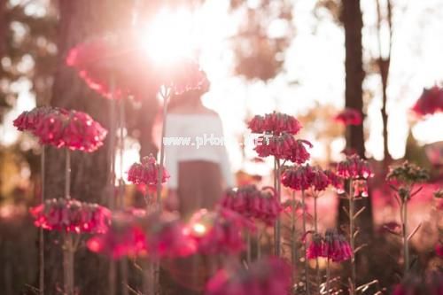 祝五四青年节快乐 适合五四青年节的发圈句子