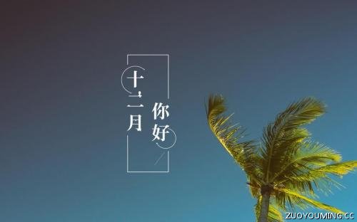 2023的最后1个月说说 今年最后一个月说说(精选75句)
