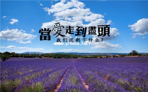 关于找对象的说说(精选29句)