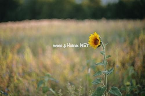 夏至心情说说 适合夏至发的说说